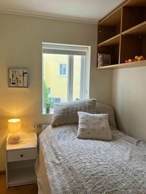 Charming 3 Bedroom Apartment Akureyri Bagian luar foto